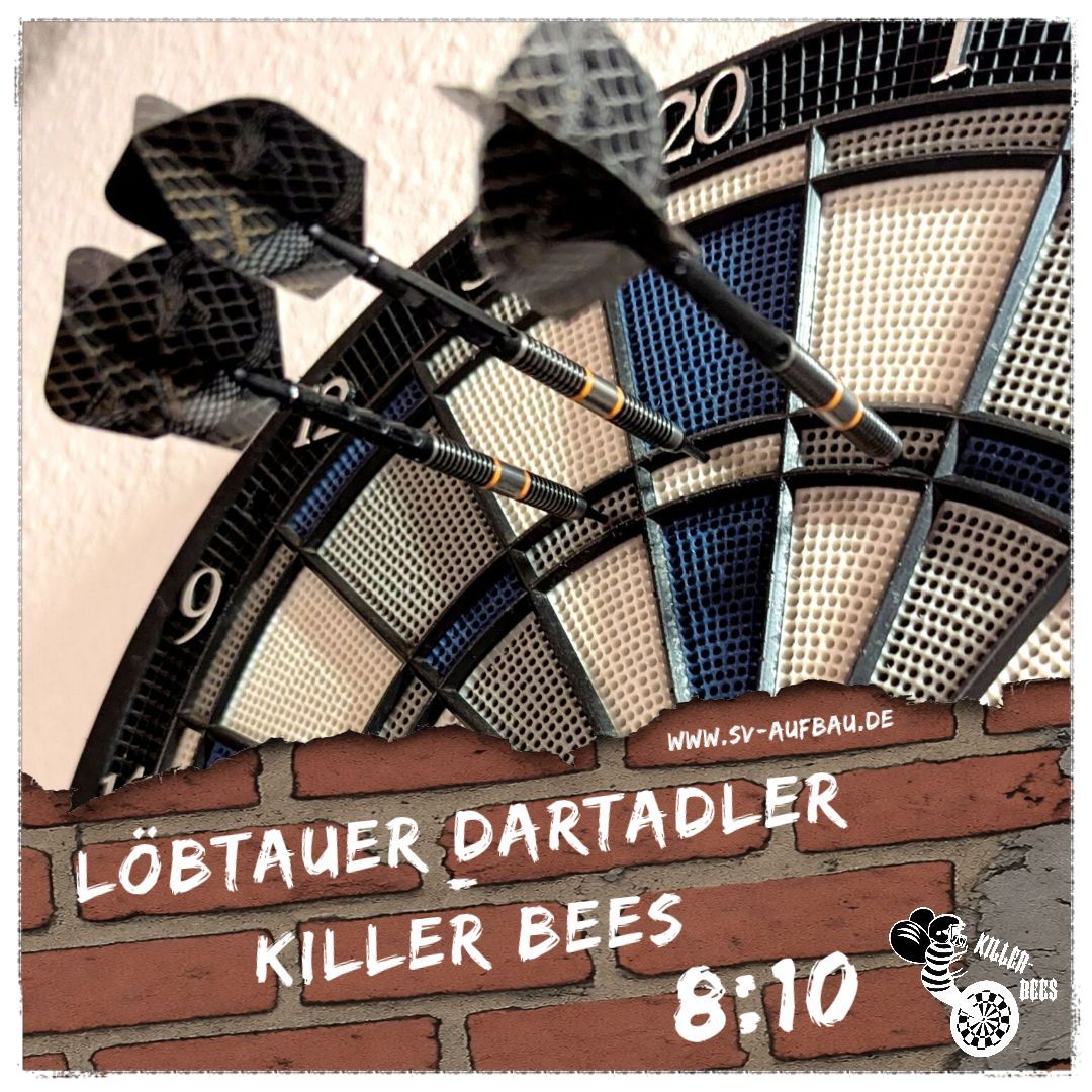 Killer Bees gewinnen in Dresden